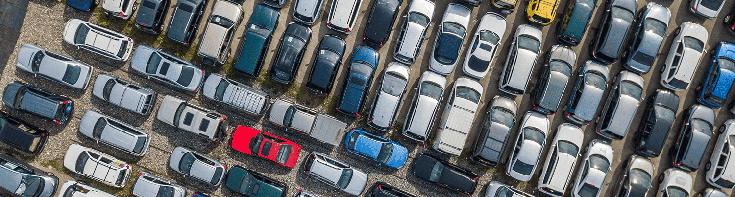 Banner Categoría 50